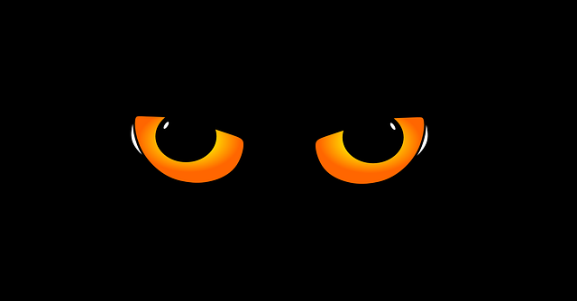 眼睛 猫的眼睛 猫 - 免费矢量图形