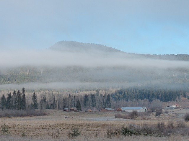 清晨 日出 云 - 上的免费照片