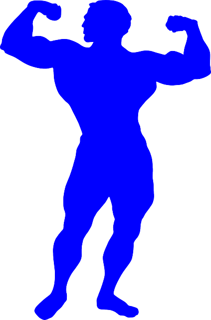 爱好健美者 肌肉 男人 - 免费矢量图形