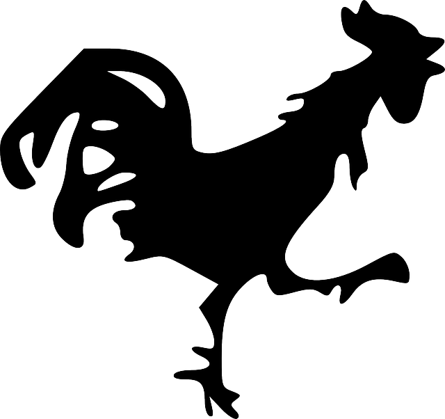 公鸡 鸡 黑色的 - 免费矢量图形