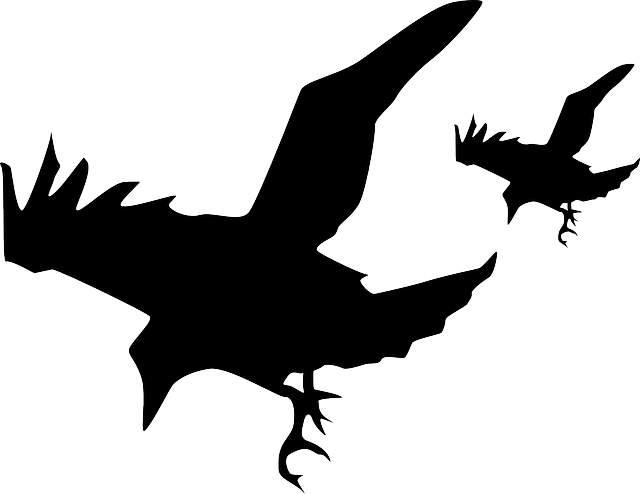 乌鸦 猎物的出价 鸟类 - 免费矢量图形