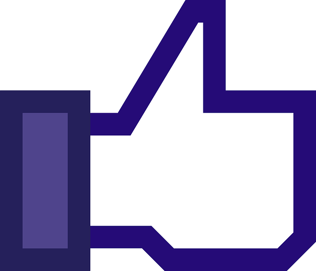 Facebook 蓝色的 按钮 - 免费矢量图形