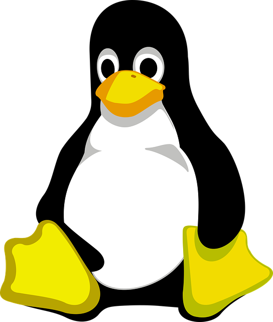 无尾礼服 企鹅 Linux - 免费矢量图形