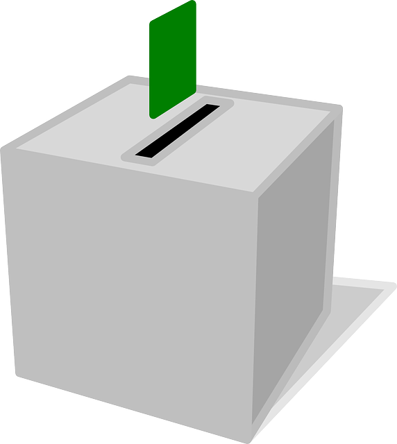 选票 投票 盒子 - 免费矢量图形