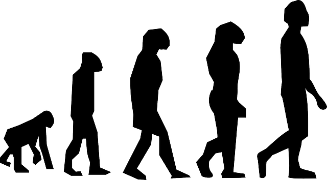 进化 步行 查尔斯 · 达尔文 - 免费矢量图形