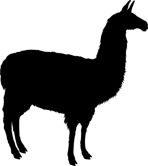 骆驼 羊驼 动物 - 免费矢量图形