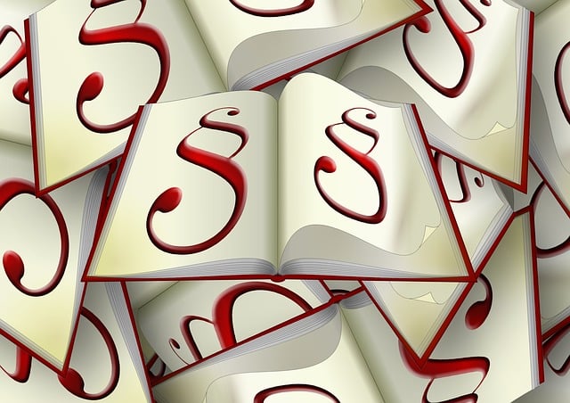 代码 法律书籍 段林 - 上的免费图片