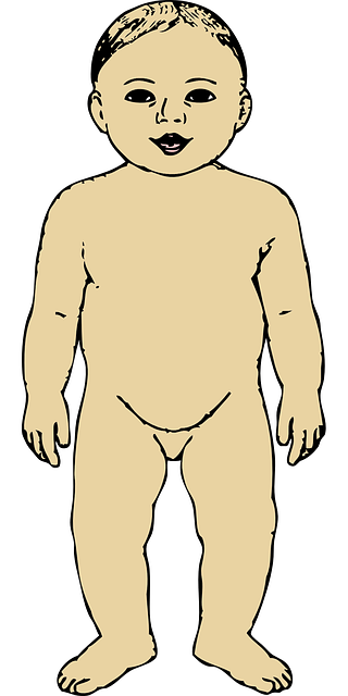 婴儿 男孩 身体 - 免费矢量图形