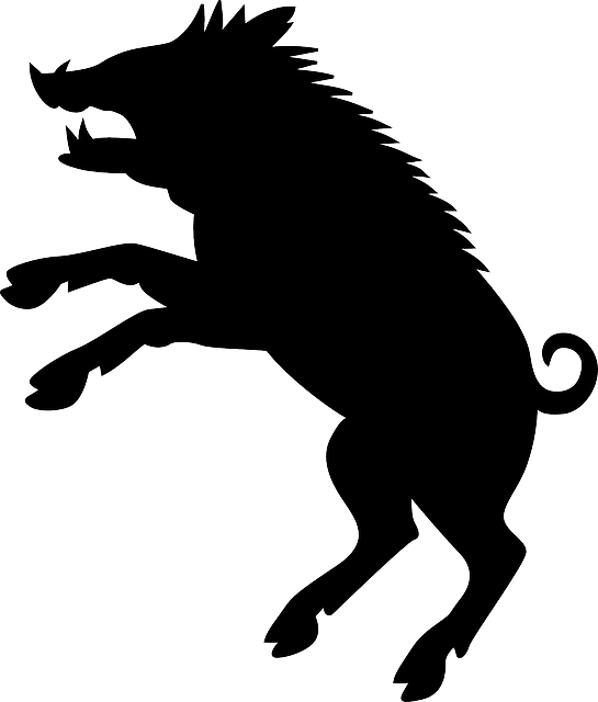 公猪 荒野 野猪 - 免费矢量图形