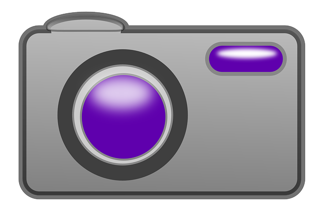 相机 快照 模拟 - 免费矢量图形