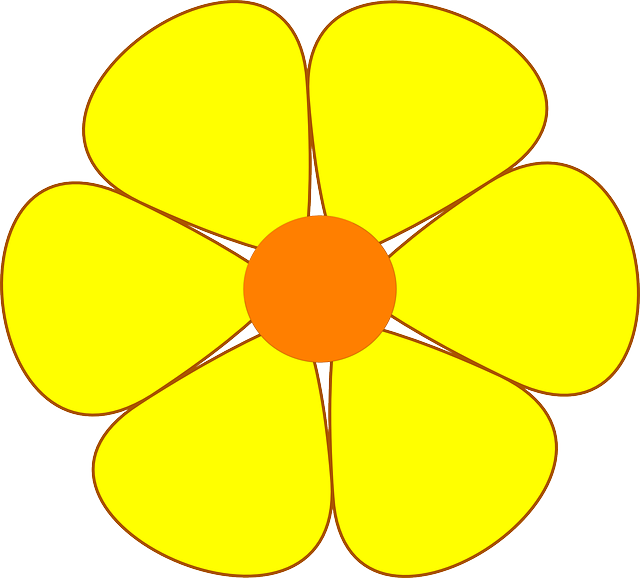 雏菊 黄色 花 - 免费矢量图形