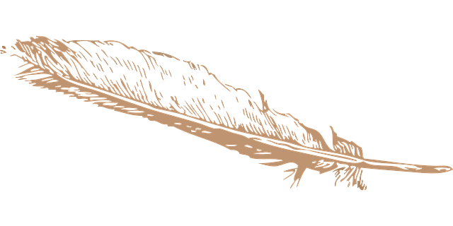 羽毛 小齿轮 鹅毛笔 - 免费矢量图形