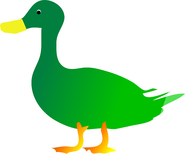 绿色 鸟 鸭 - 免费矢量图形