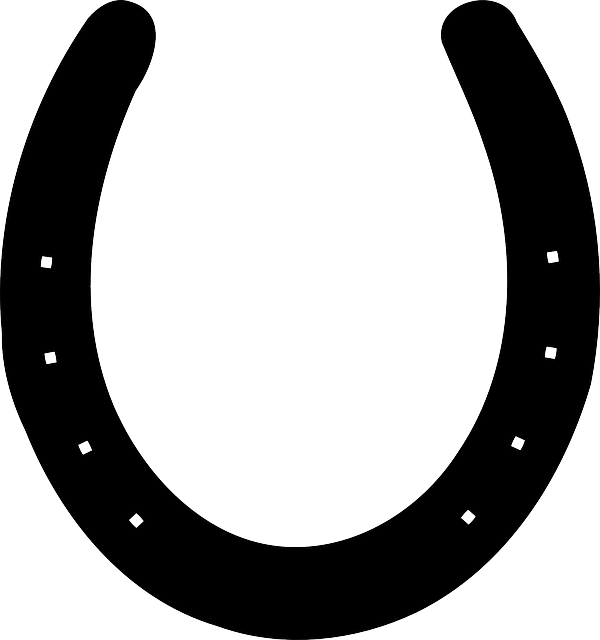 马蹄铁 轮廓 运气 - 免费矢量图形