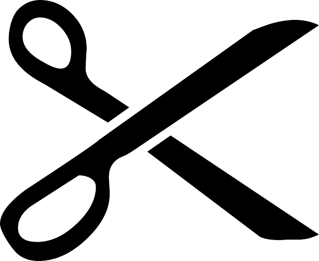 一把剪刀 工具 切 - 免费矢量图形