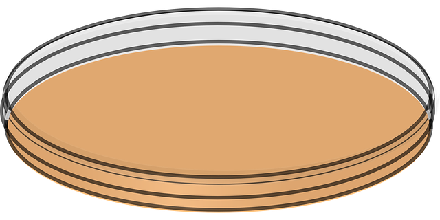 培养皿 平坦的 实验室 - 免费矢量图形