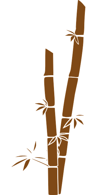 竹子 茎 热带 - 免费矢量图形