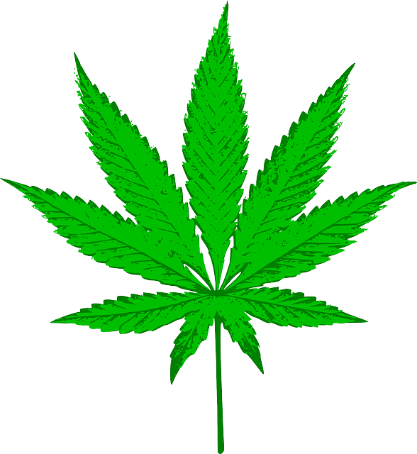 大麻 水稻 麻 - 免费矢量图形