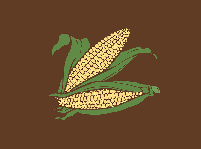 玉米 玉米芯 食物 - 免费矢量图形