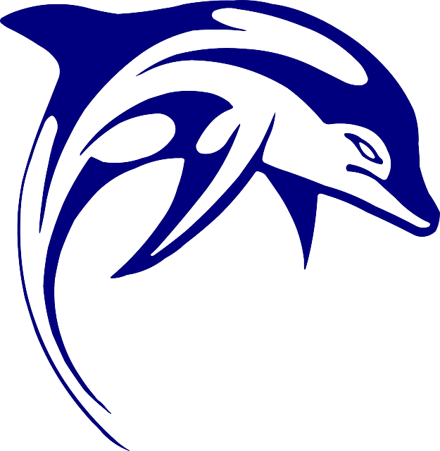 海豚 哺乳动物 海上生活 - 免费矢量图形