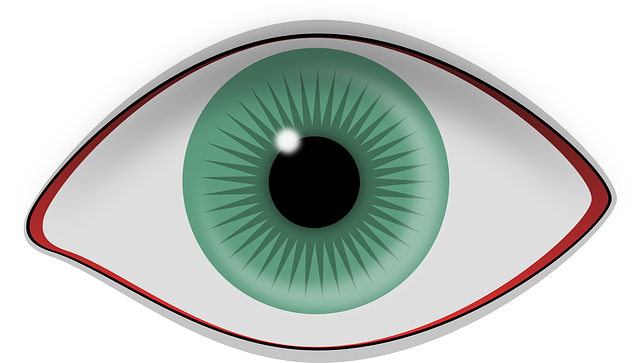眼睛 瞳孔 虹膜 - 免费矢量图形