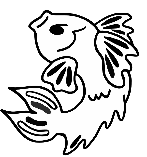 鱼 鳍 热带 - 免费矢量图形