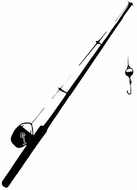 渔杆 钓鱼杆 钓鱼 - 免费矢量图形