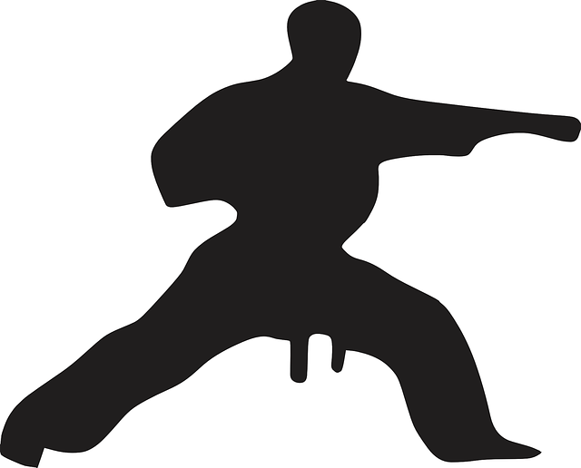 空手道 武术 艺术 - 免费矢量图形