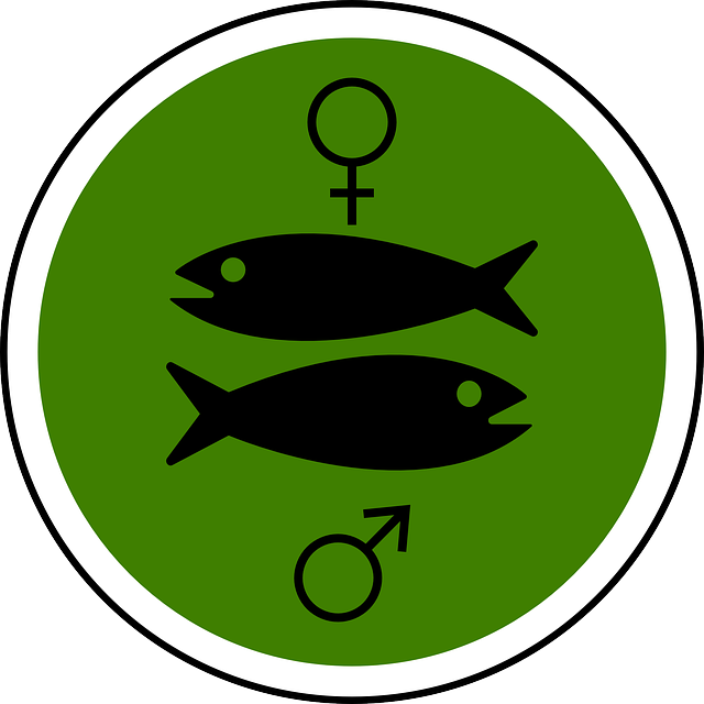 男性 女性 鱼 - 免费矢量图形