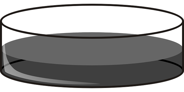 培养皿 深的 实验室 - 免费矢量图形
