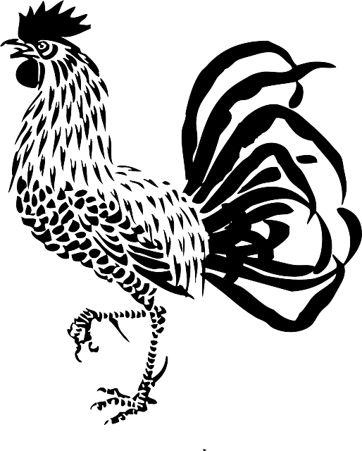 公鸡 家禽 农场 - 免费矢量图形
