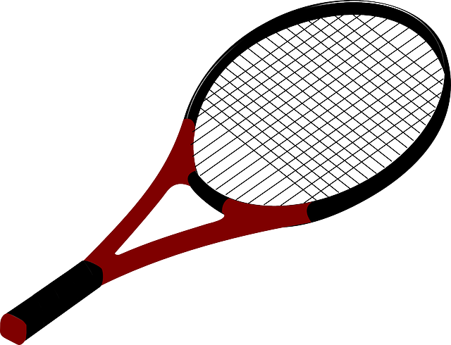 网球 球拍 画画 - 免费矢量图形