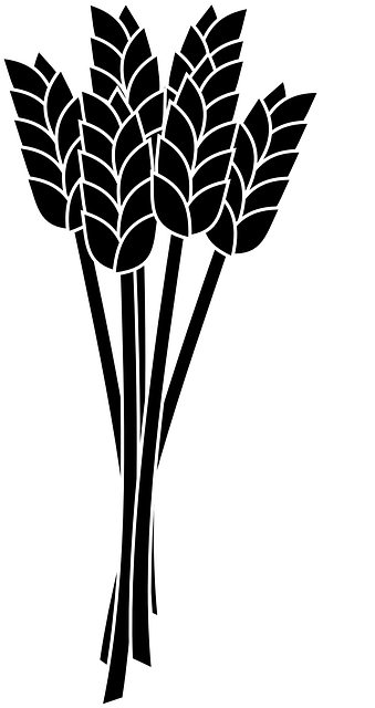 麦穗 束 粮食 - 免费矢量图形