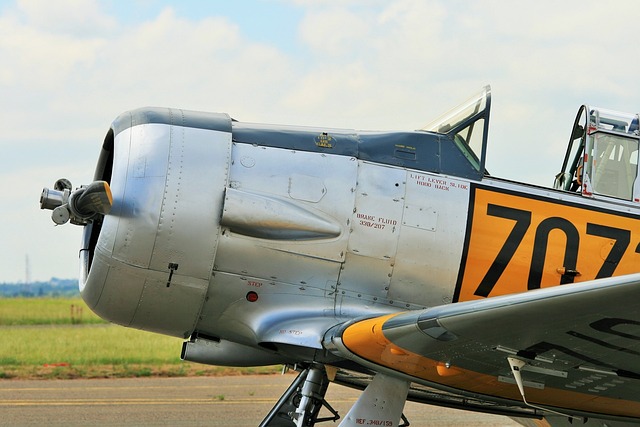 固定的翼 教练员 哈佛 - 上的免费照片