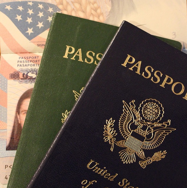 护照 美国 文件 - 上的免费照片