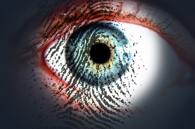 眼睛 指纹 眼睛扫描 - 上的免费照片