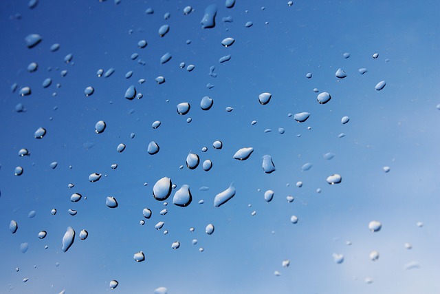 雨 雨后 一滴 - 上的免费照片