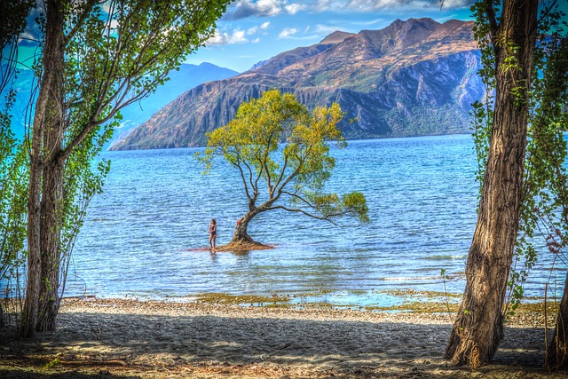 瓦纳卡 新西兰 瓦纳卡湖 - 上的免费照片