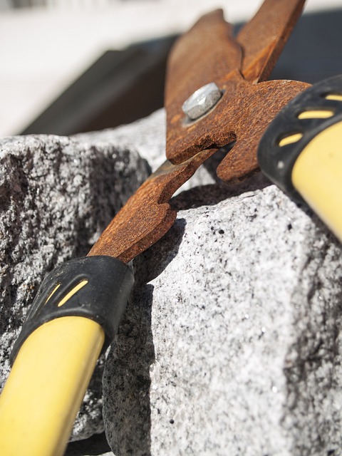 剪刀 园艺剪 锈 - 上的免费照片