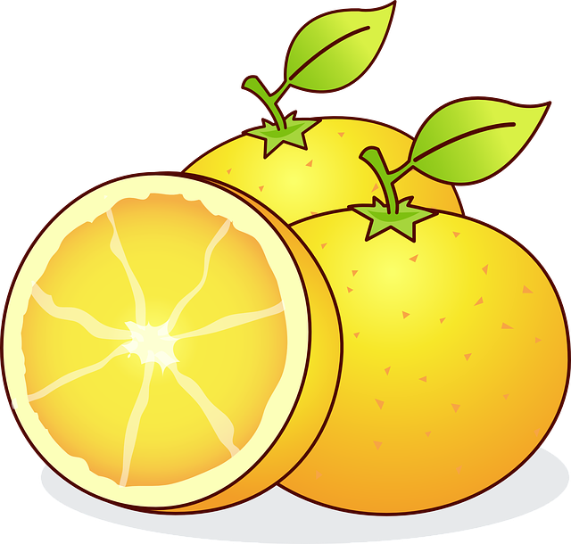 橙子 水果 食物 - 免费矢量图形