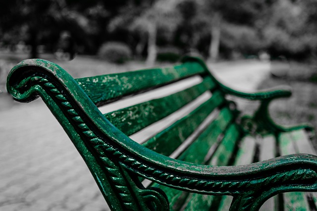 公园的长椅上 坐着 座位 - 上的免费照片