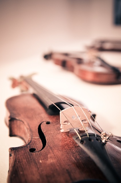 小提琴 音乐 乐器 - 上的免费照片