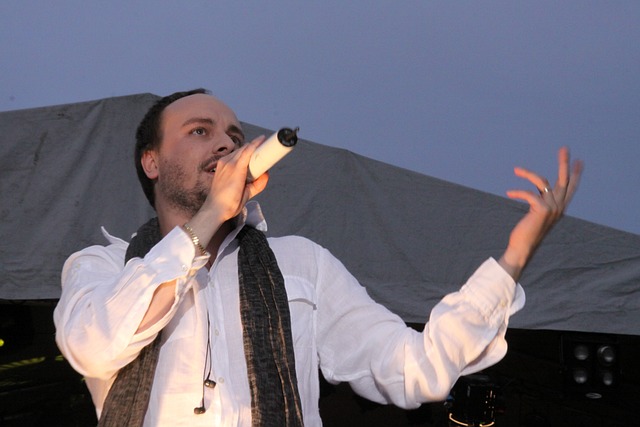 歌手 男人 显示 - 上的免费照片