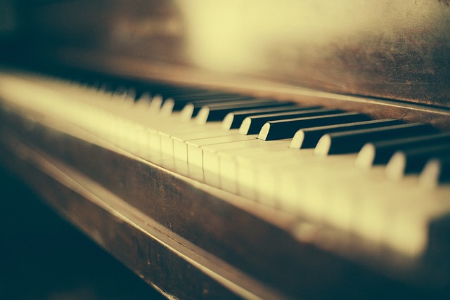 钢琴 大钢琴 乐器 - 上的免费照片