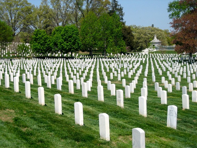 阿灵顿国家公墓 华盛顿特区 退伍军人 - 上的免费照片