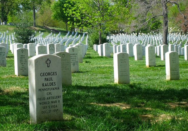 阿灵顿国家公墓 公墓 华盛顿特区 - 上的免费照片