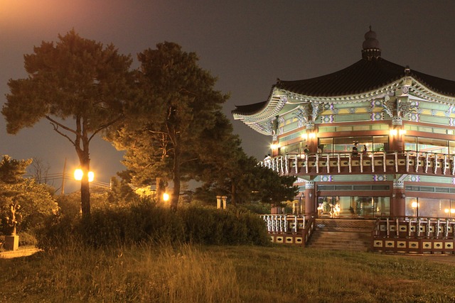 八角形 市中心 夜景 - 上的免费照片