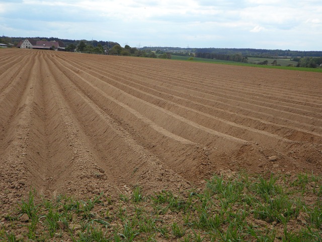 海岭 领域 犁沟 - 上的免费照片