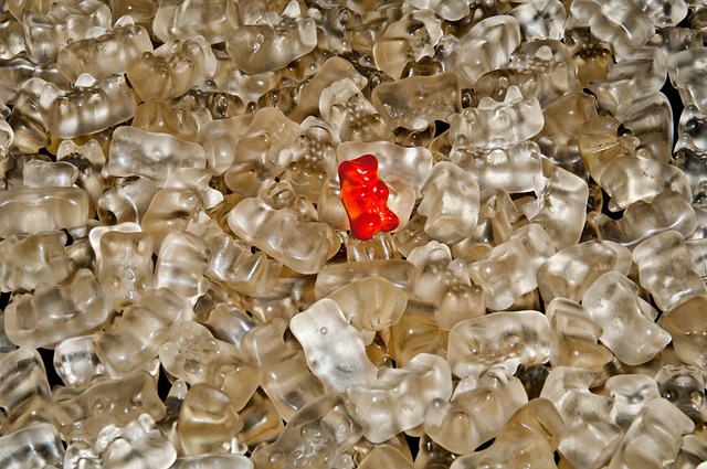 小熊软糖 Gummi熊 熊 - 上的免费照片