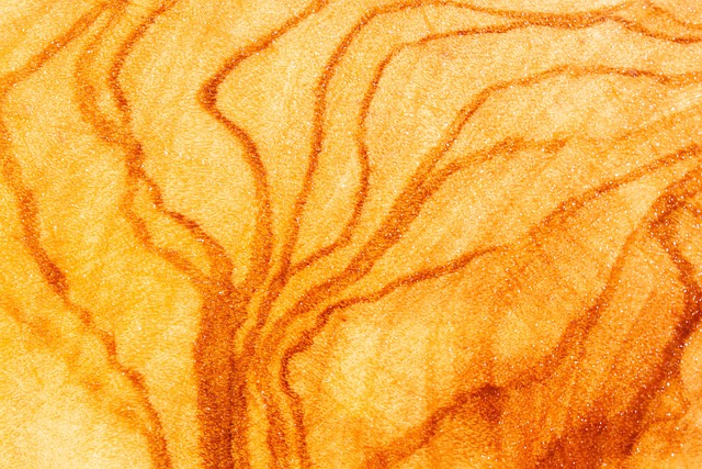 橄榄木 木头 粮食 - 上的免费照片